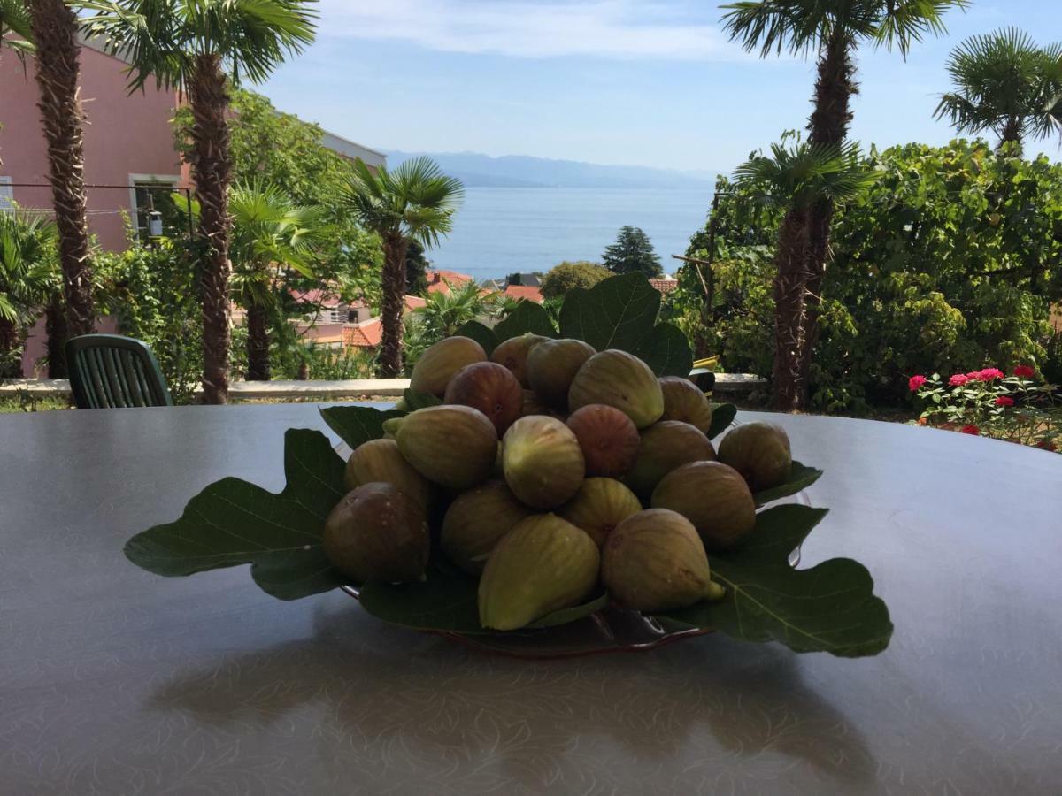 Anicic Appartement Opatija Buitenkant foto